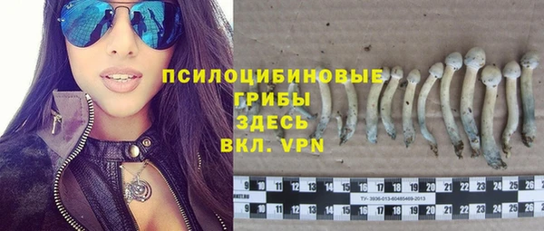 Альфа ПВП Покачи