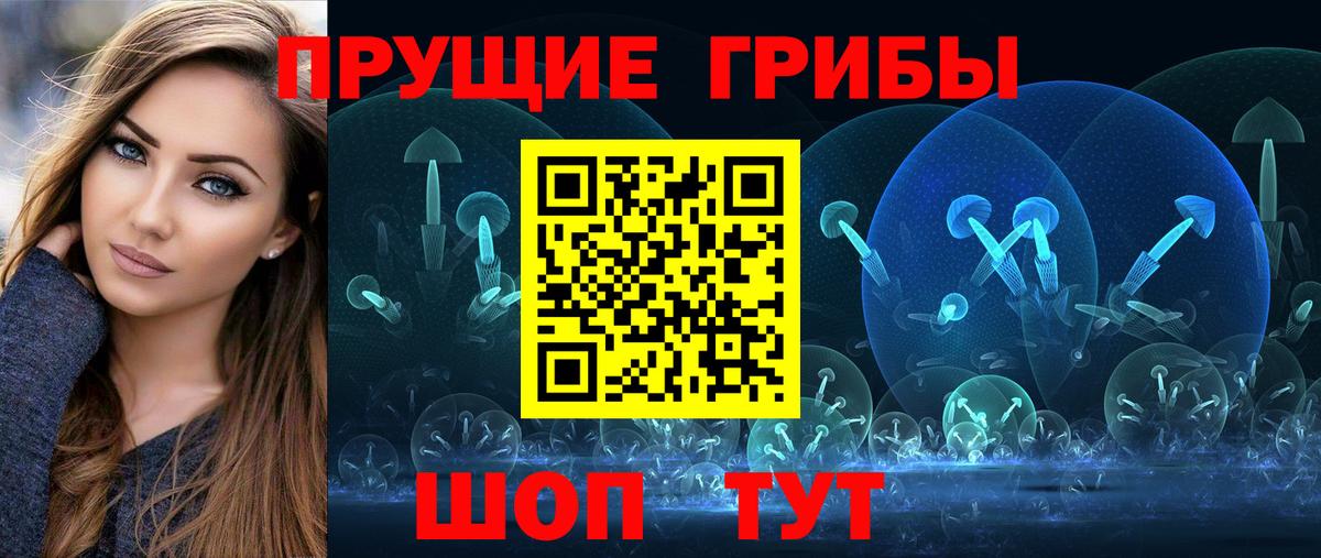 Галлюциногенные грибы прущие грибы Калининград